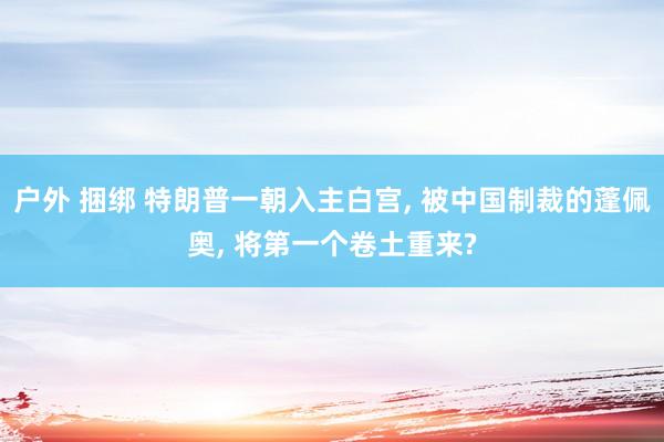 户外 捆绑 特朗普一朝入主白宫, 被中国制裁的蓬佩奥, 将第一个卷土重来?