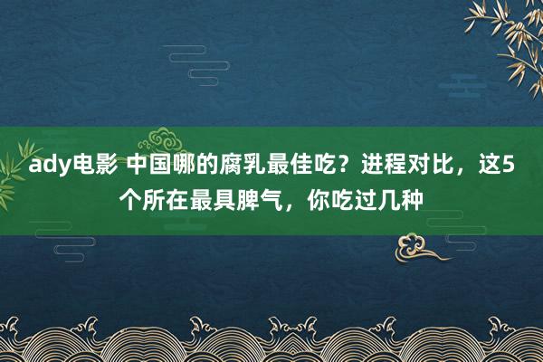 ady电影 中国哪的腐乳最佳吃？进程对比，这5个所在最具脾气，你吃过几种