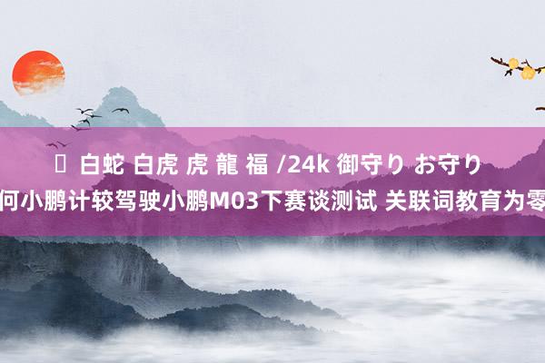 ✨白蛇 白虎 虎 龍 福 /24k 御守り お守り 何小鹏计较驾驶小鹏M03下赛谈测试 关联词教育为零