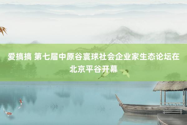 爱搞搞 第七届中原谷寰球社会企业家生态论坛在北京平谷开幕