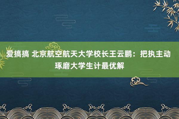 爱搞搞 北京航空航天大学校长王云鹏：把执主动 琢磨大学生计最优解