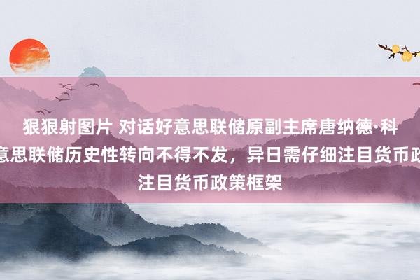 狠狠射图片 对话好意思联储原副主席唐纳德·科恩：好意思联储历史性转向不得不发，异日需仔细注目货币政策框架