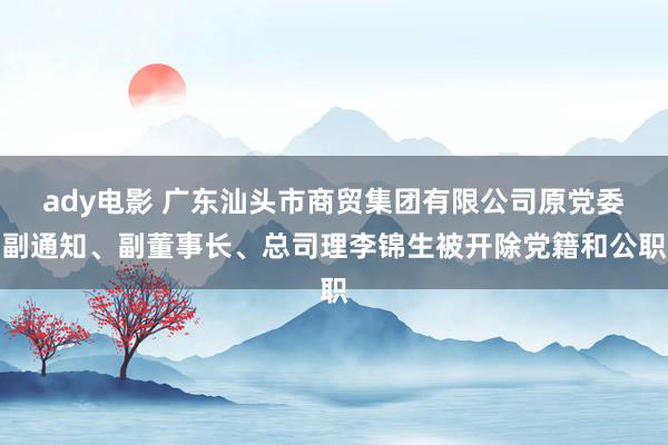 ady电影 广东汕头市商贸集团有限公司原党委副通知、副董事长、总司理李锦生被开除党籍和公职