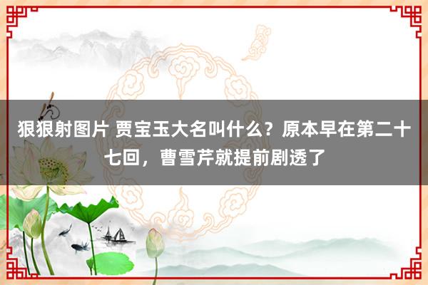 狠狠射图片 贾宝玉大名叫什么？原本早在第二十七回，曹雪芹就提前剧透了