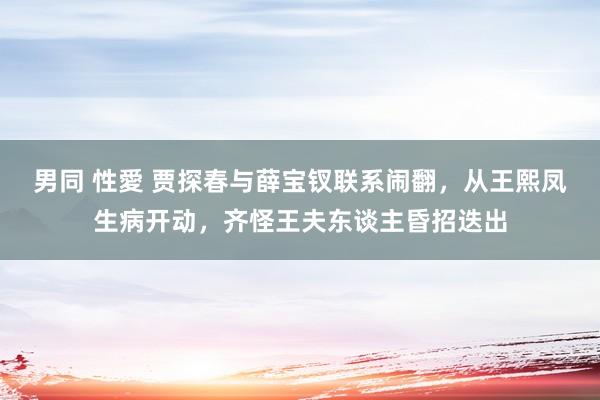 男同 性愛 贾探春与薛宝钗联系闹翻，从王熙凤生病开动，齐怪王夫东谈主昏招迭出