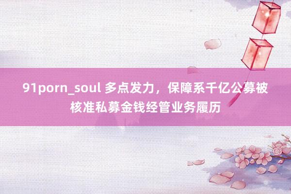 91porn_soul 多点发力，保障系千亿公募被核准私募金钱经管业务履历