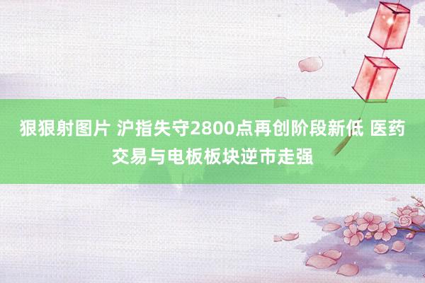 狠狠射图片 沪指失守2800点再创阶段新低 医药交易与电板板块逆市走强