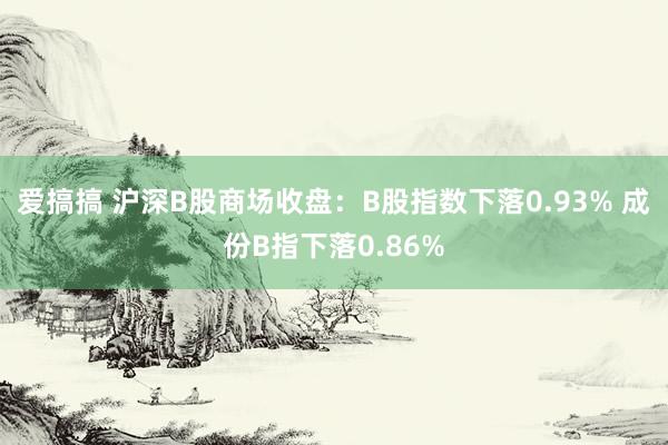 爱搞搞 沪深B股商场收盘：B股指数下落0.93% 成份B指下落0.86%