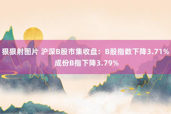 狠狠射图片 沪深B股市集收盘：B股指数下降3.71% 成份B指下降3.79%