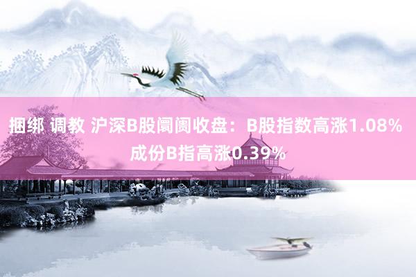 捆绑 调教 沪深B股阛阓收盘：B股指数高涨1.08% 成份B指高涨0.39%