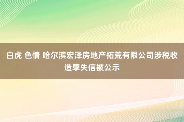 白虎 色情 哈尔滨宏泽房地产拓荒有限公司涉税收造孽失信被公示