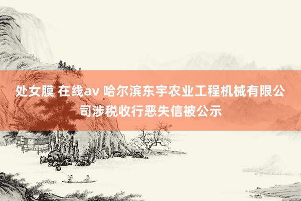 处女膜 在线av 哈尔滨东宇农业工程机械有限公司涉税收行恶失信被公示