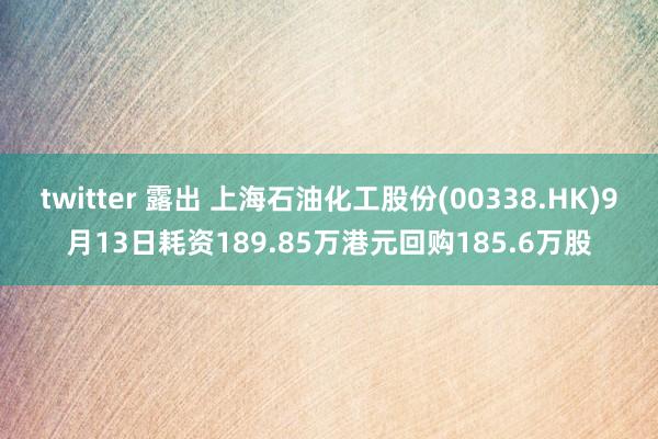 twitter 露出 上海石油化工股份(00338.HK)9月13日耗资189.85万港元回购185.6万股