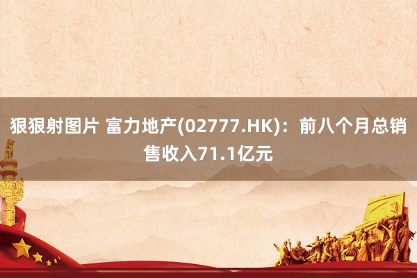 狠狠射图片 富力地产(02777.HK)：前八个月总销售收入71.1亿元