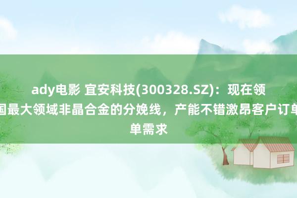 ady电影 宜安科技(300328.SZ)：现在领有中国最大领域非晶合金的分娩线，产能不错激昂客户订单需求