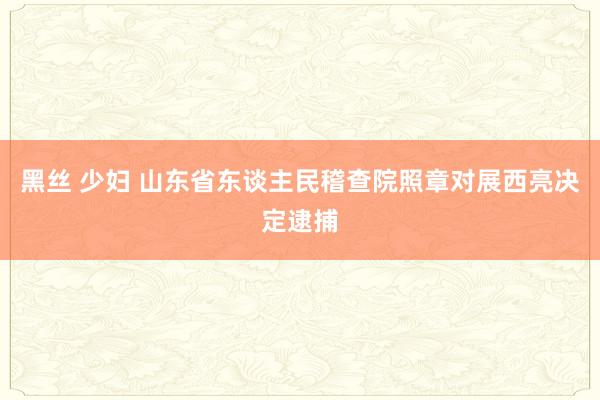 黑丝 少妇 山东省东谈主民稽查院照章对展西亮决定逮捕