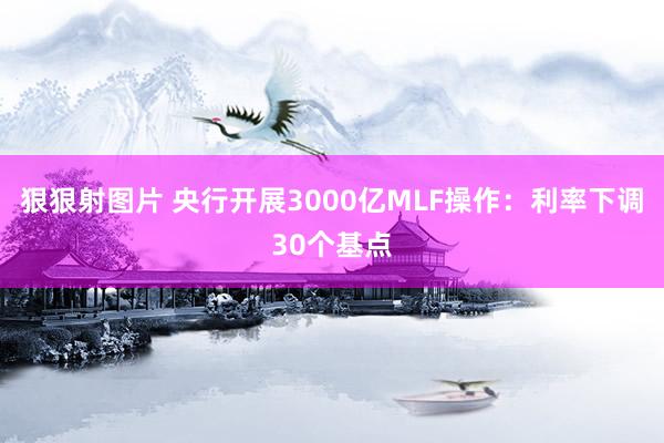 狠狠射图片 央行开展3000亿MLF操作：利率下调30个基点