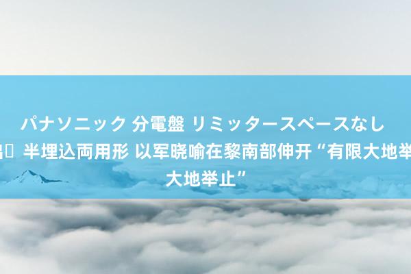 パナソニック 分電盤 リミッタースペースなし 露出・半埋込両用形 以军晓喻在黎南部伸开“有限大地举止”