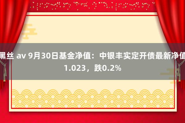 黑丝 av 9月30日基金净值：中银丰实定开债最新净值1.023，跌0.2%