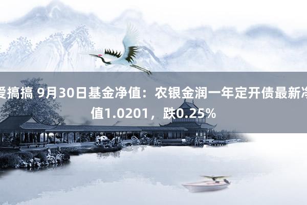 爱搞搞 9月30日基金净值：农银金润一年定开债最新净值1.0201，跌0.25%