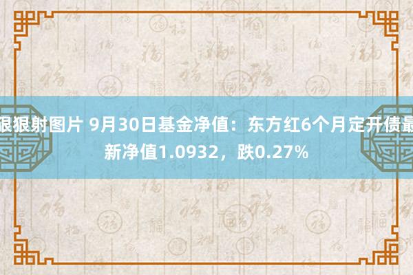 狠狠射图片 9月30日基金净值：东方红6个月定开债最新净值1.0932，跌0.27%