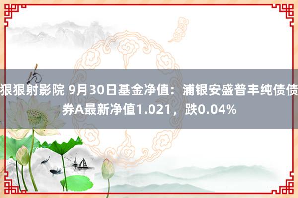 狠狠射影院 9月30日基金净值：浦银安盛普丰纯债债券A最新净值1.021，跌0.04%