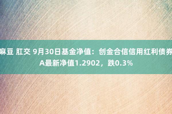 麻豆 肛交 9月30日基金净值：创金合信信用红利债券A最新净值1.2902，跌0.3%