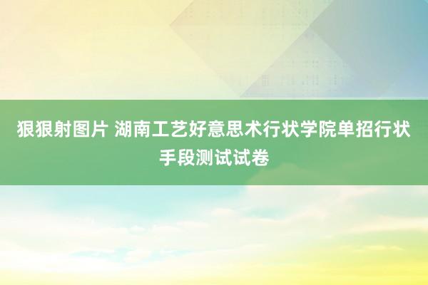 狠狠射图片 湖南工艺好意思术行状学院单招行状手段测试试卷