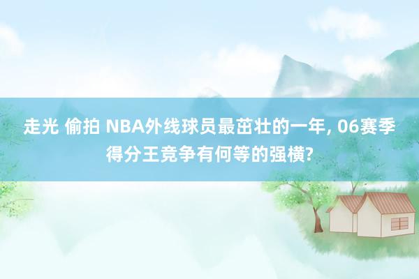 走光 偷拍 NBA外线球员最茁壮的一年, 06赛季得分王竞争有何等的强横?