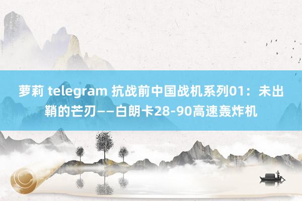 萝莉 telegram 抗战前中国战机系列01：未出鞘的芒刃——白朗卡28-90高速轰炸机