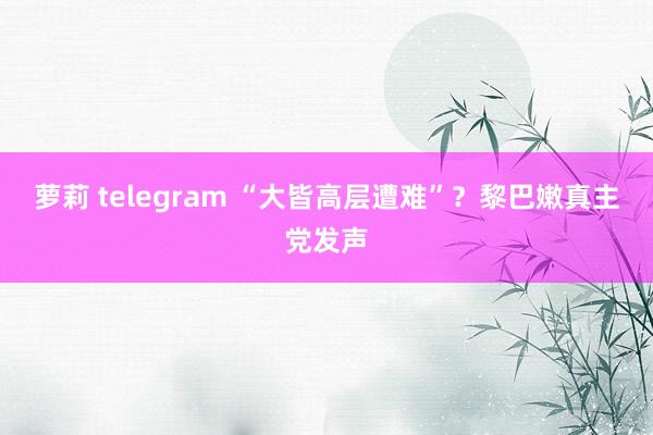 萝莉 telegram “大皆高层遭难”？黎巴嫩真主党发声