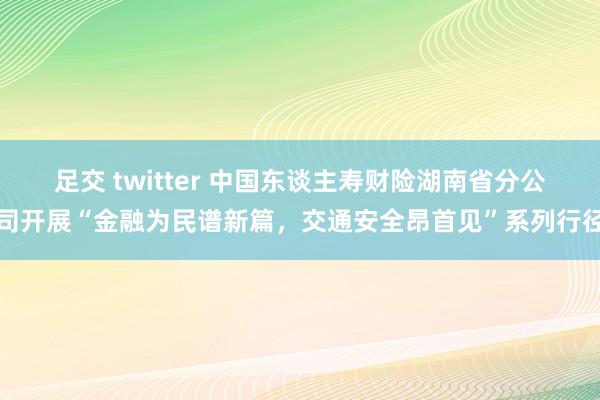 足交 twitter 中国东谈主寿财险湖南省分公司开展“金融为民谱新篇，交通安全昂首见”系列行径