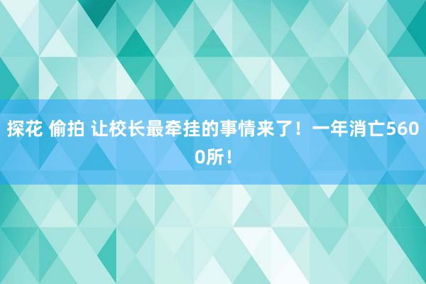 探花 偷拍 让校长最牵挂的事情来了！一年消亡5600所！