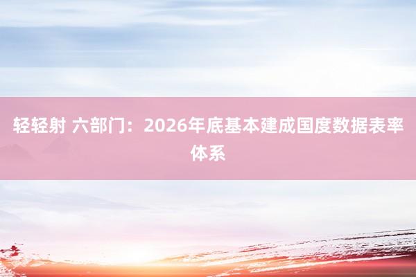 轻轻射 六部门：2026年底基本建成国度数据表率体系