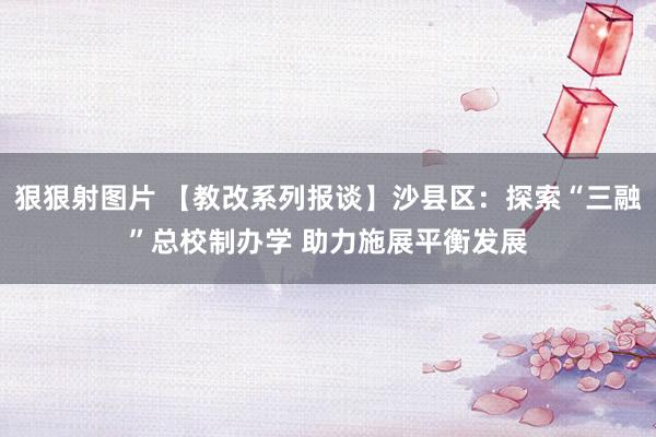 狠狠射图片 【教改系列报谈】沙县区：探索“三融”总校制办学 助力施展平衡发展