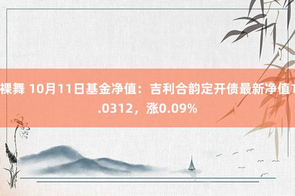 裸舞 10月11日基金净值：吉利合韵定开债最新净值1.0312，涨0.09%