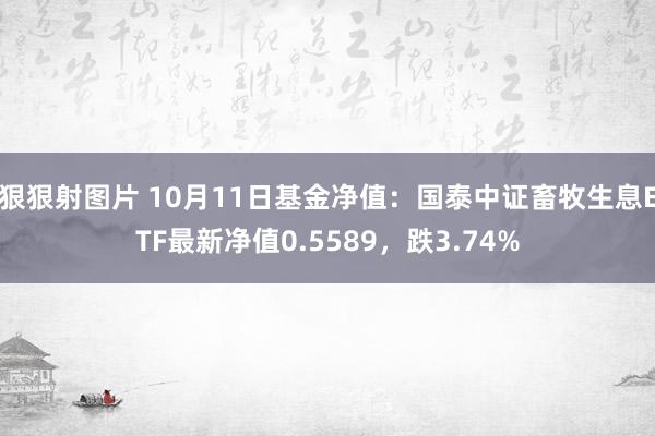 狠狠射图片 10月11日基金净值：国泰中证畜牧生息ETF最新净值0.5589，跌3.74%