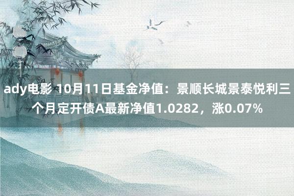 ady电影 10月11日基金净值：景顺长城景泰悦利三个月定开债A最新净值1.0282，涨0.07%