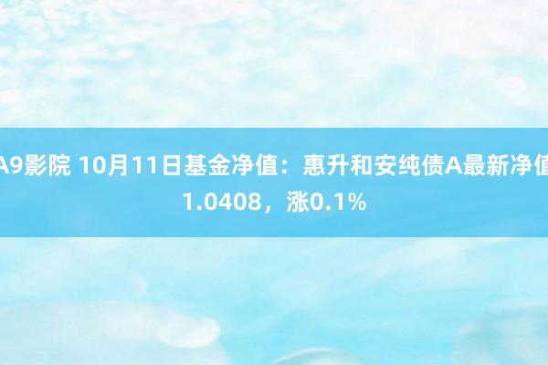 A9影院 10月11日基金净值：惠升和安纯债A最新净值1.0408，涨0.1%