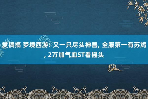 爱搞搞 梦境西游: 又一只尽头神兽, 全服第一有苏鸩, 2万加气血ST看摇头