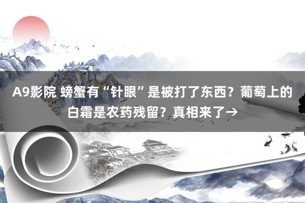 A9影院 螃蟹有“针眼”是被打了东西？葡萄上的白霜是农药残留？真相来了→