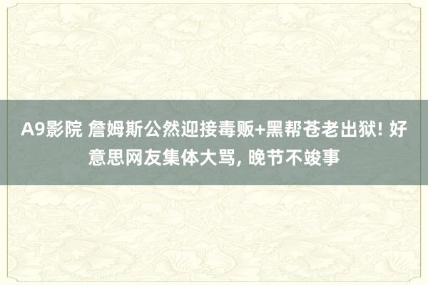 A9影院 詹姆斯公然迎接毒贩+黑帮苍老出狱! 好意思网友集体大骂, 晚节不竣事