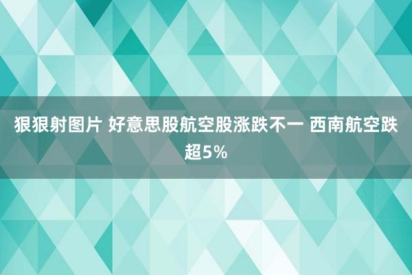 狠狠射图片 好意思股航空股涨跌不一 西南航空跌超5%