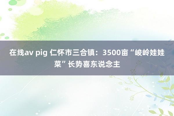 在线av pig 仁怀市三合镇：3500亩“峻岭娃娃菜”长势喜东说念主