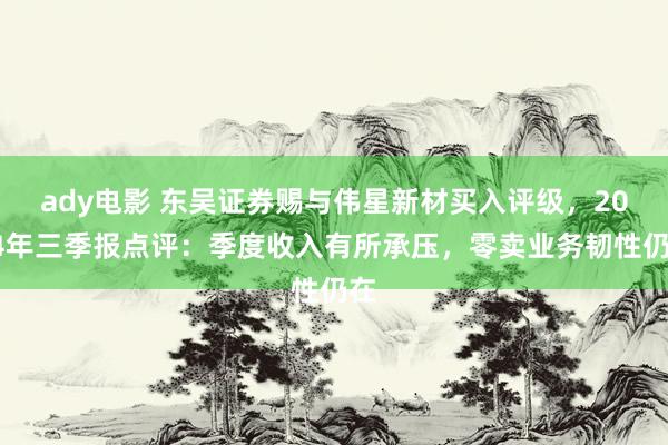 ady电影 东吴证券赐与伟星新材买入评级，2024年三季报点评：季度收入有所承压，零卖业务韧性仍在