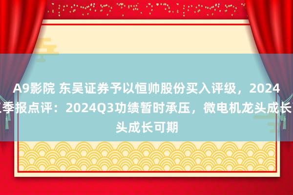 A9影院 东吴证券予以恒帅股份买入评级，2024年三季报点评：2024Q3功绩暂时承压，微电机龙头成长可期