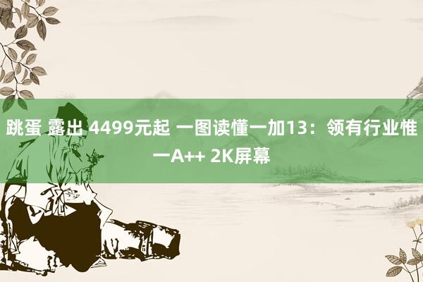 跳蛋 露出 4499元起 一图读懂一加13：领有行业惟一A++ 2K屏幕