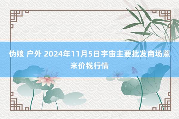 伪娘 户外 2024年11月5日宇宙主要批发商场薏米价钱行情