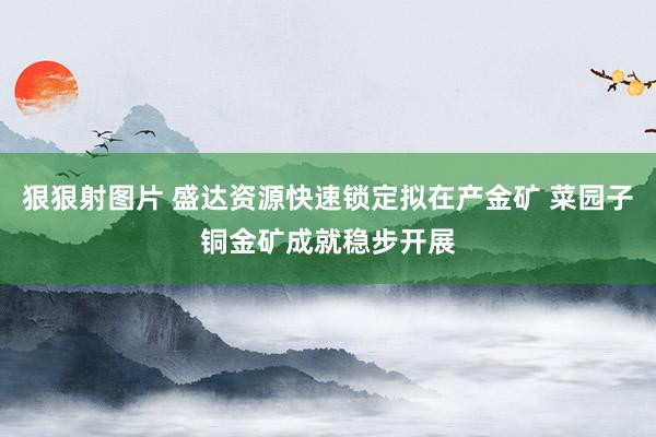 狠狠射图片 盛达资源快速锁定拟在产金矿 菜园子铜金矿成就稳步开展