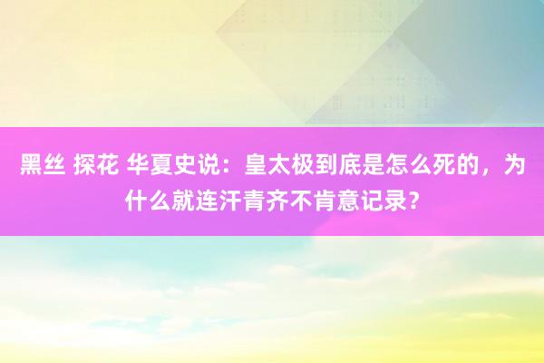 黑丝 探花 华夏史说：皇太极到底是怎么死的，为什么就连汗青齐不肯意记录？